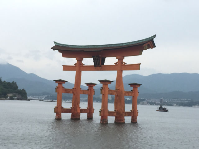 f:id:mayurin2018:20180612074105j:plain f:id:mayurin2018:20180612074105j:plain