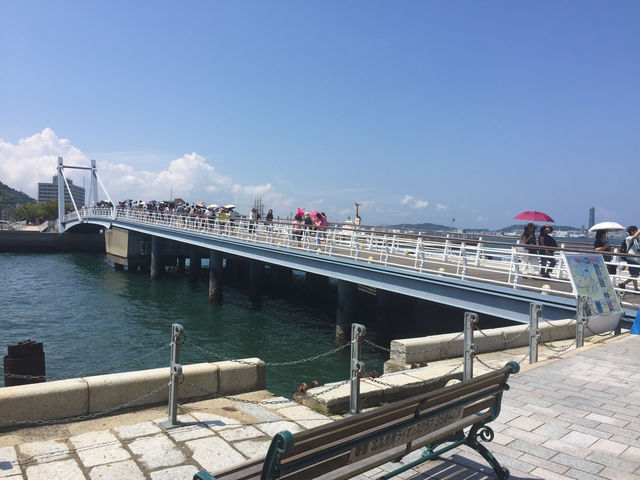 f:id:mayurin2018:20180612084133j:plain