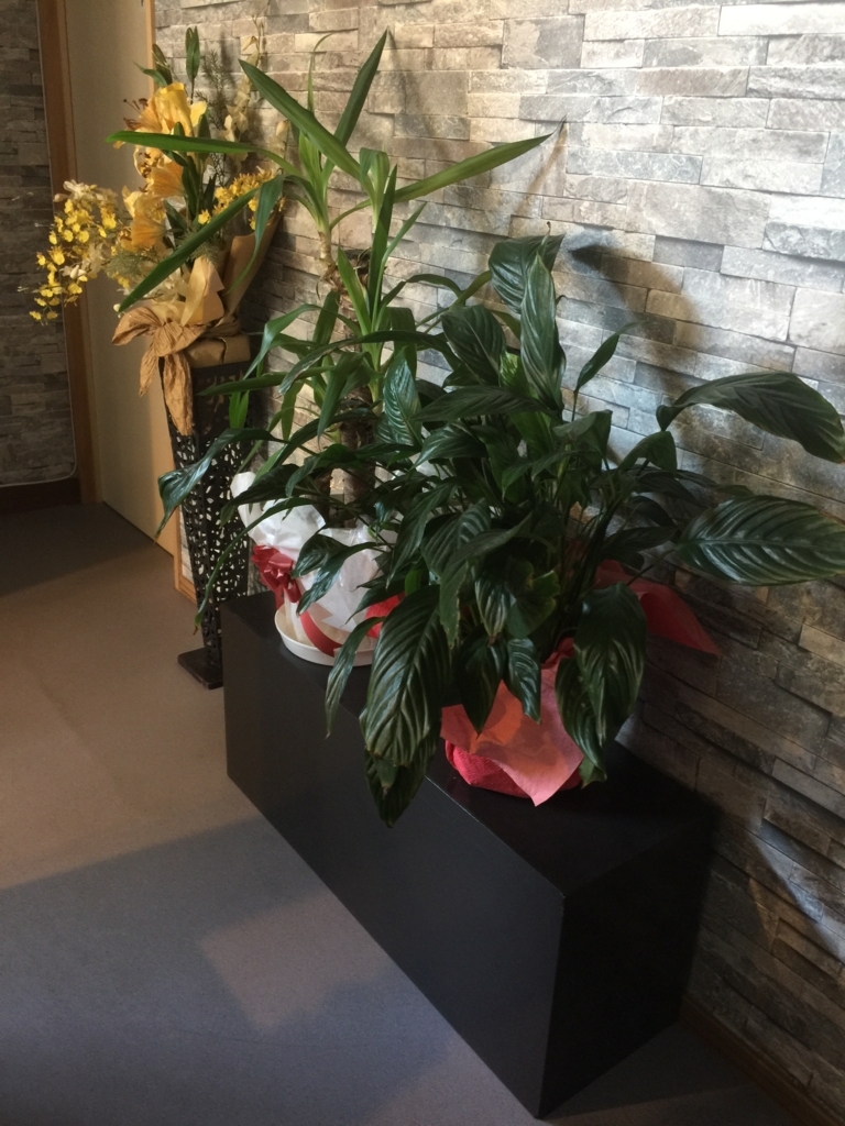 f:id:mayurin2018:20180616101058j:plain