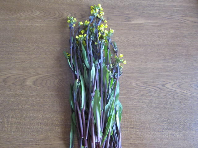 f:id:mayurin2018:20180625183145j:plain f:id:mayurin2018:20180625183145j:plain