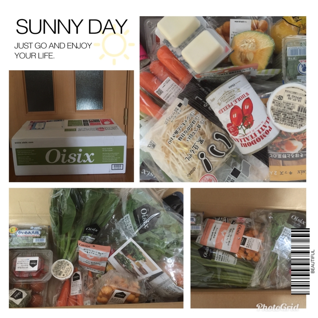 f:id:mayurin2018:20180701052353j:plain