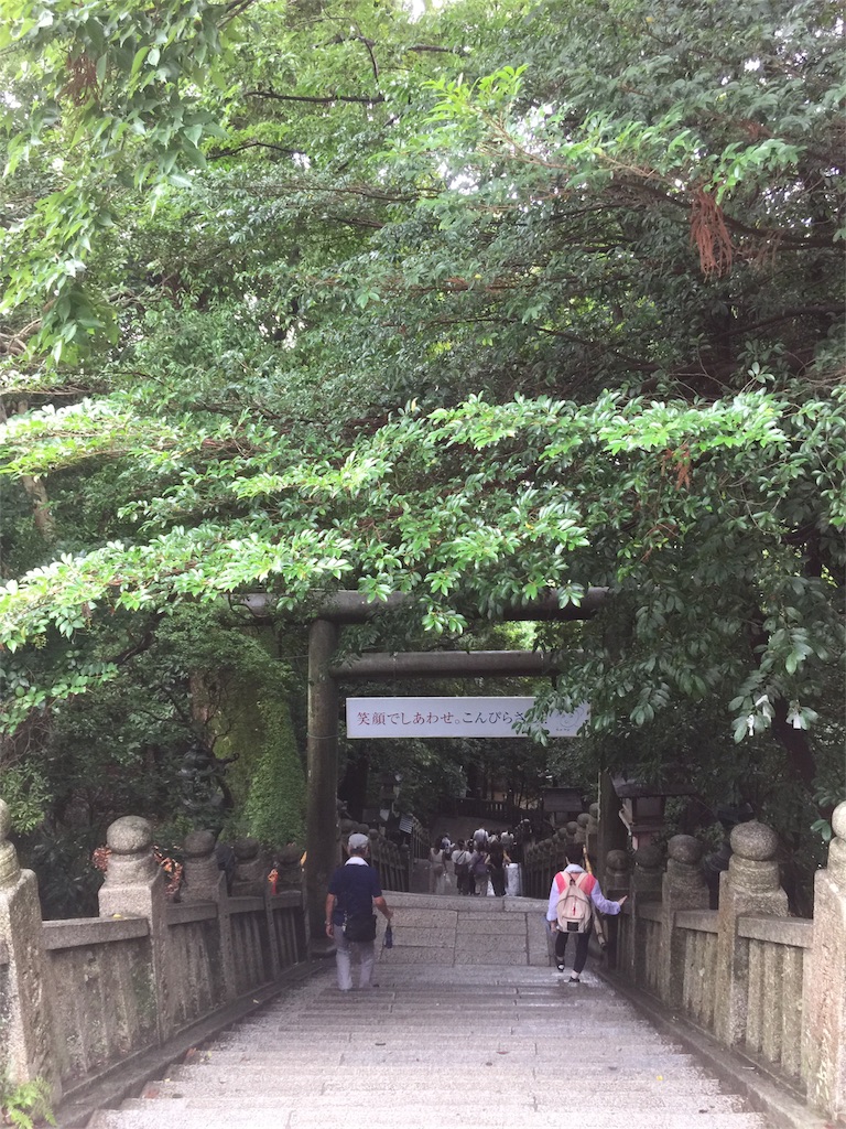 f:id:mayurin2018:20180816144243j:image