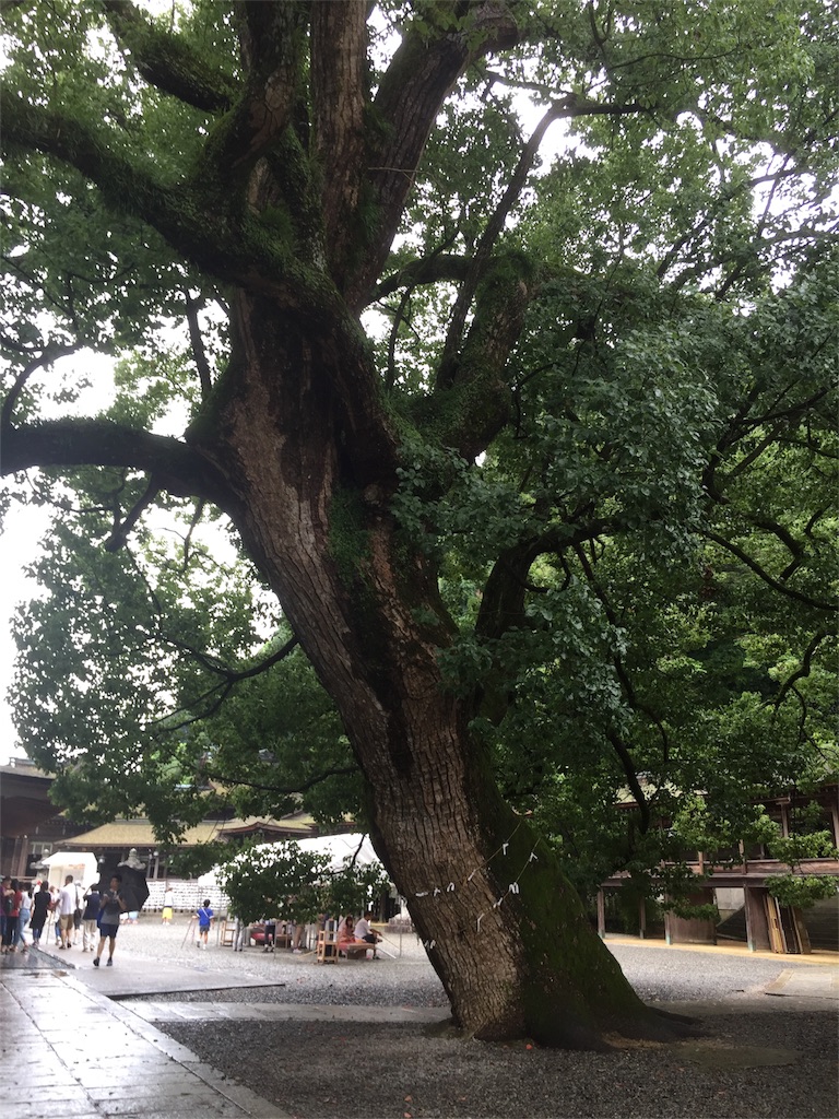 f:id:mayurin2018:20180816144313j:image f:id:mayurin2018:20180816144313j:image