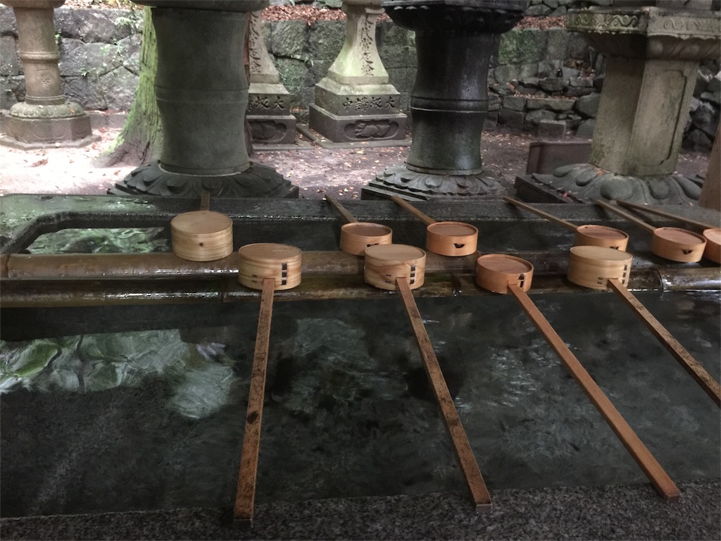 f:id:mayurin2018:20180816144323j:image f:id:mayurin2018:20180816144323j:image