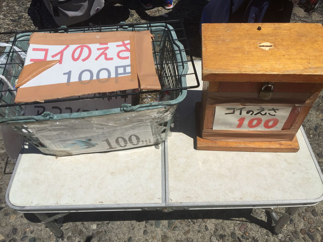 f:id:mayurin2018:20180819073407j:plain f:id:mayurin2018:20180819073407j:plain