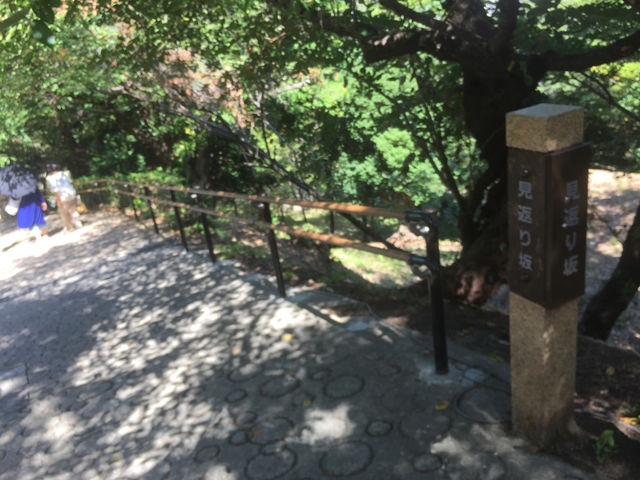 f:id:mayurin2018:20180819121225j:plain f:id:mayurin2018:20180819121225j:plain