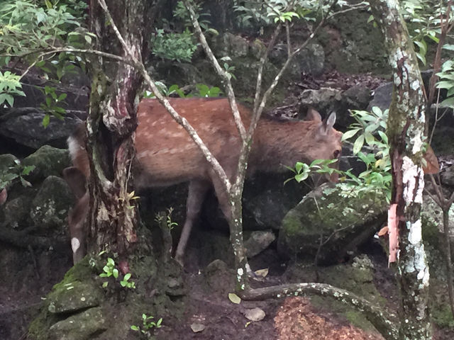 f:id:mayurin2018:20180921201239j:plain f:id:mayurin2018:20180921201239j:plain