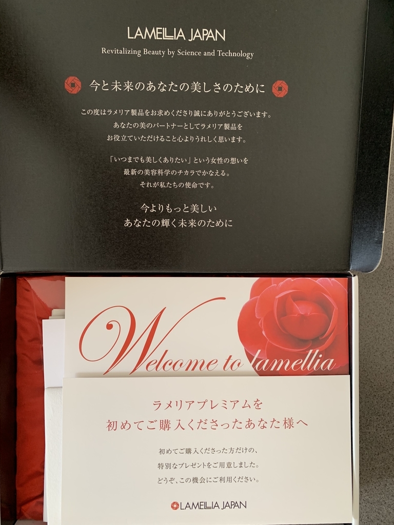 f:id:mayurin2018:20181005112736j:plain