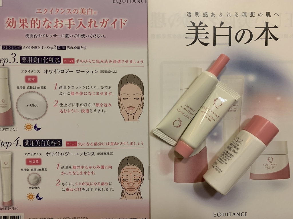 f:id:mayurin2018:20181207183446j:plain