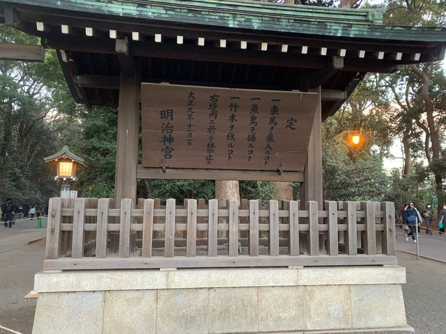f:id:mayurin2018:20190102204412j:plain f:id:mayurin2018:20190102204412j:plain