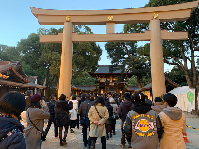 f:id:mayurin2018:20190102204430j:plain f:id:mayurin2018:20190102204430j:plain
