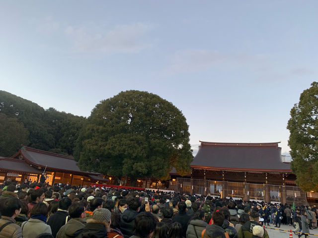 f:id:mayurin2018:20190102204518j:plain f:id:mayurin2018:20190102204518j:plain