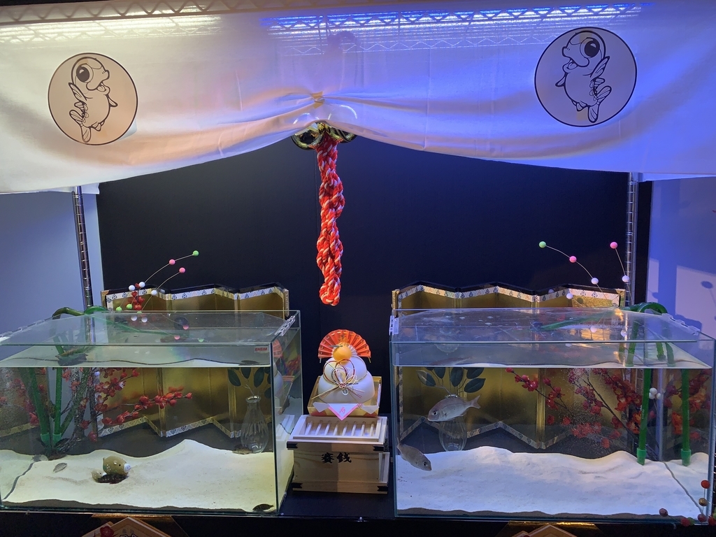 f:id:mayurin2018:20190110134326j:plain f:id:mayurin2018:20190110134326j:plain