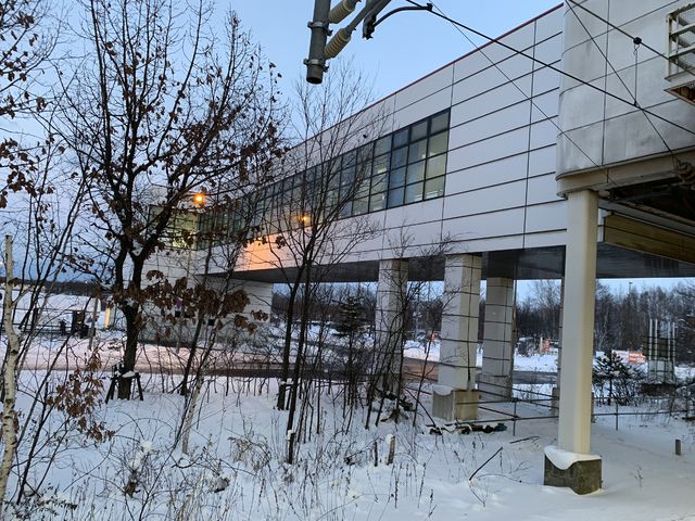 f:id:mayurin2018:20190111104949j:plain