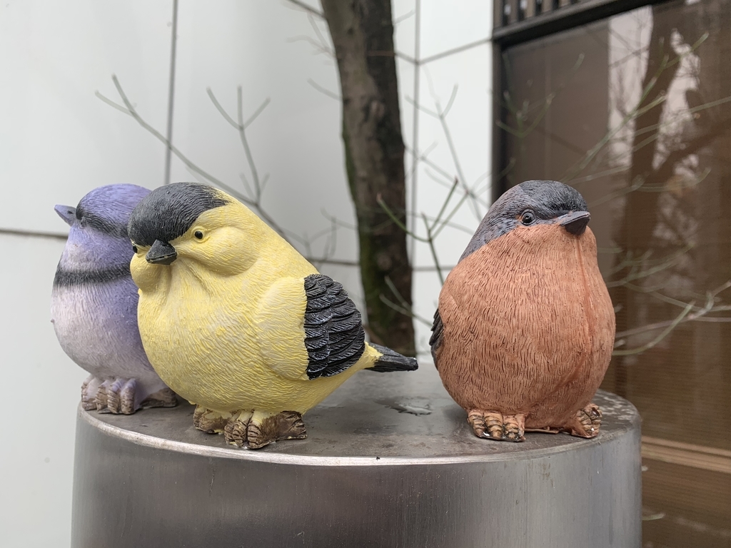 f:id:mayurin2018:20190131133717j:plain f:id:mayurin2018:20190131133717j:plain