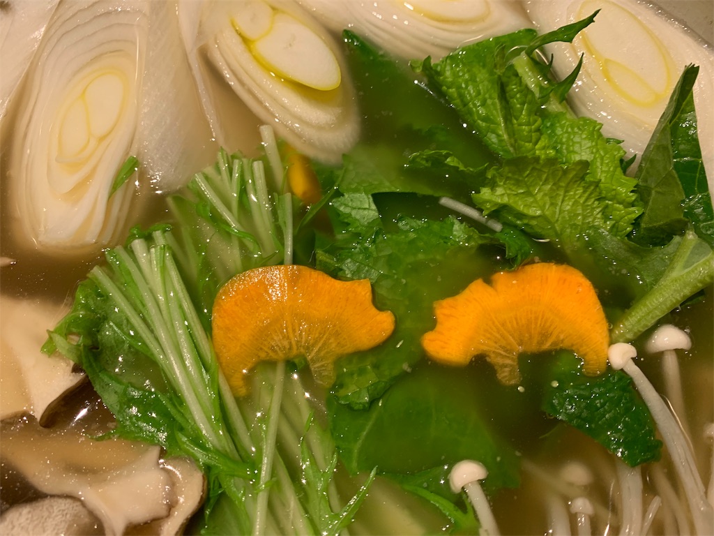 f:id:mayurin2018:20190218180645j:image