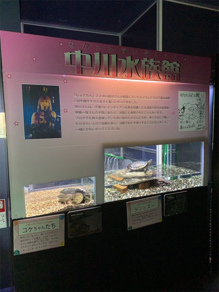 f:id:mayurin2018:20190318162733j:plain f:id:mayurin2018:20190318162733j:plain