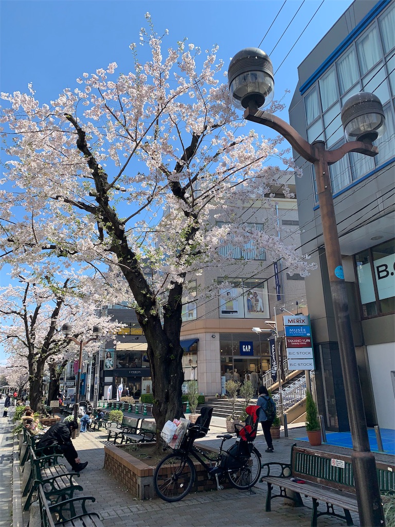 f:id:mayurin2018:20190403112349j:plain f:id:mayurin2018:20190403112349j:plain