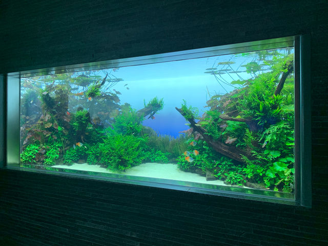 f:id:mayurin2018:20190416190419j:plain f:id:mayurin2018:20190416190419j:plain