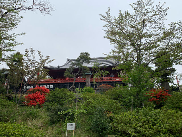 f:id:mayurin2018:20190417170021j:plain f:id:mayurin2018:20190417170021j:plain