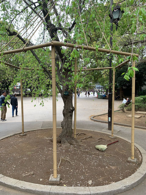 f:id:mayurin2018:20190417170043j:plain f:id:mayurin2018:20190417170043j:plain