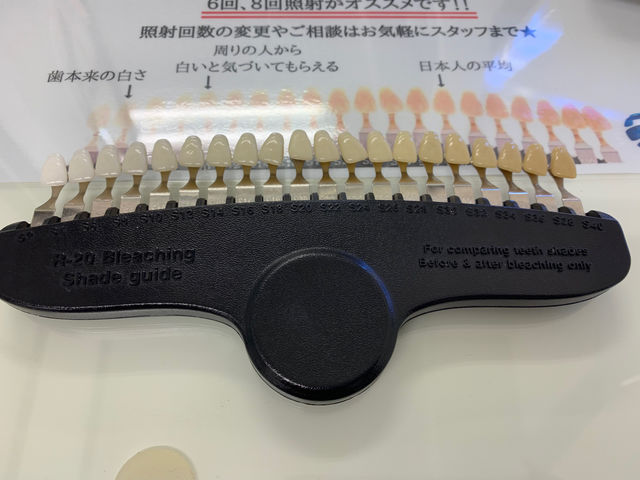 f:id:mayurin2018:20190430172657j:plain f:id:mayurin2018:20190430172657j:plain
