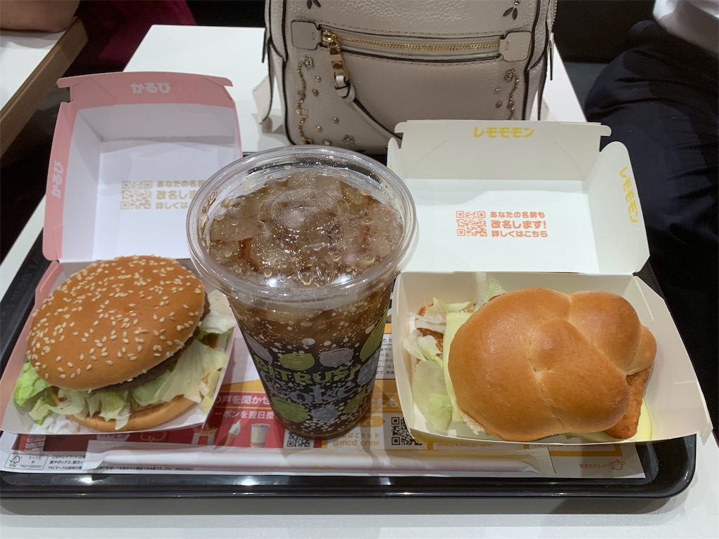 f:id:mayurin2018:20190511161812j:plain