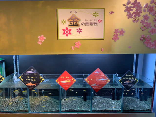 f:id:mayurin2018:20190517144406j:plain f:id:mayurin2018:20190517144406j:plain