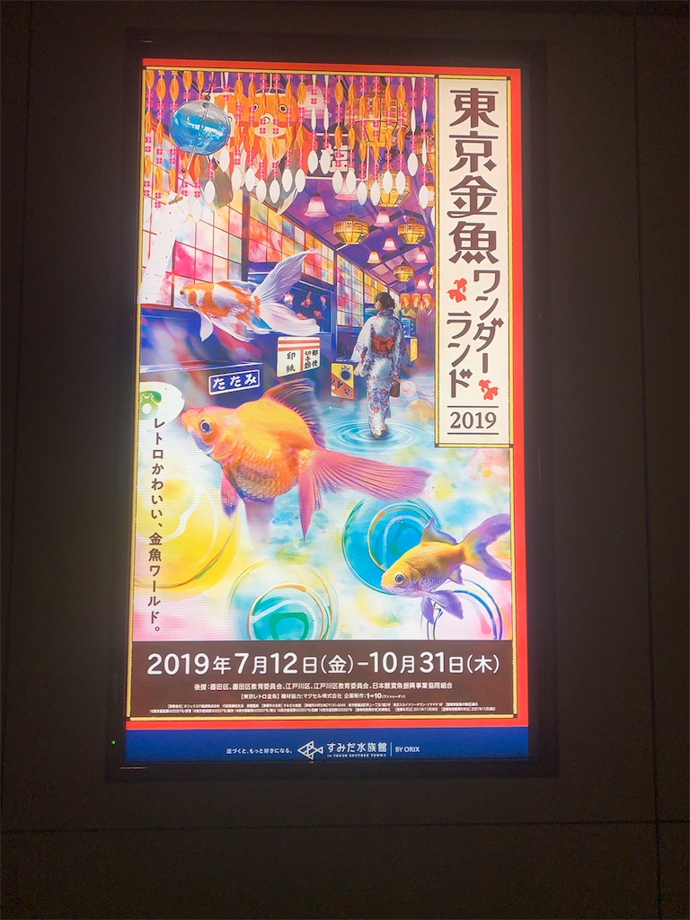 f:id:mayurin2018:20190707202709j:plain f:id:mayurin2018:20190707202709j:plain