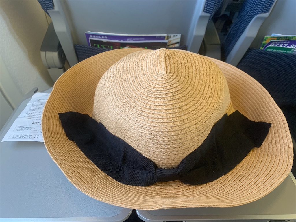 f:id:mayurin2018:20190717220106j:image f:id:mayurin2018:20190717220106j:image