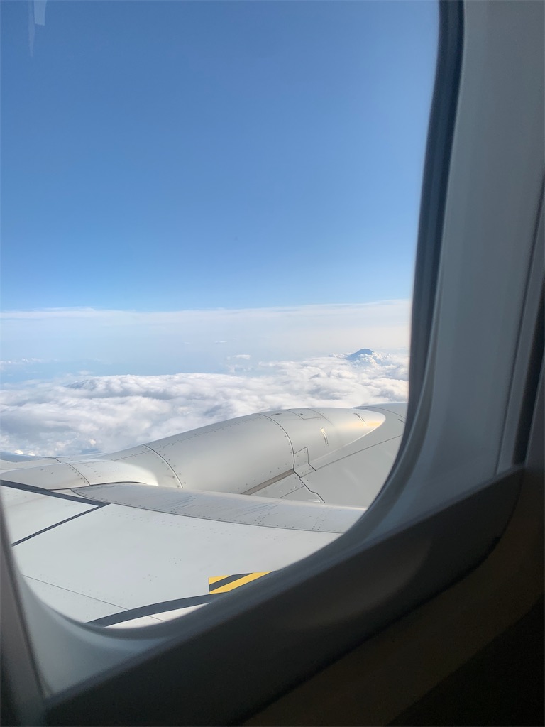 f:id:mayurin2018:20190717220142j:image f:id:mayurin2018:20190717220142j:image