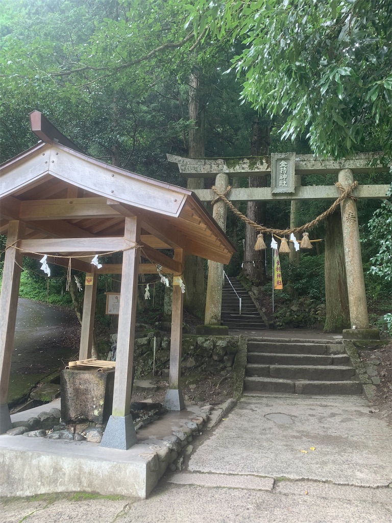 f:id:mayurin2018:20190723174311j:image f:id:mayurin2018:20190723174311j:image