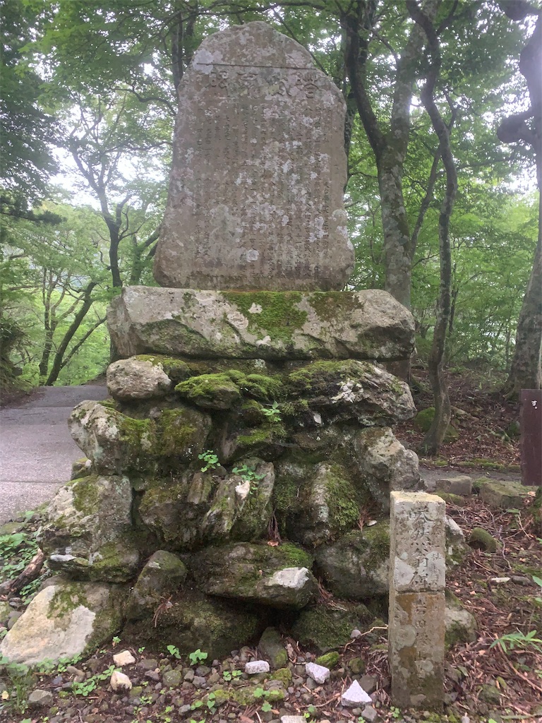 f:id:mayurin2018:20190723174952j:image f:id:mayurin2018:20190723174952j:image