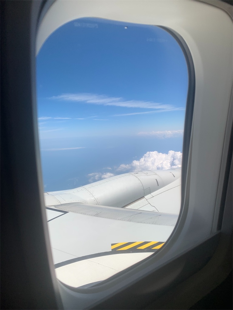 f:id:mayurin2018:20190724234604j:plain f:id:mayurin2018:20190724234604j:plain