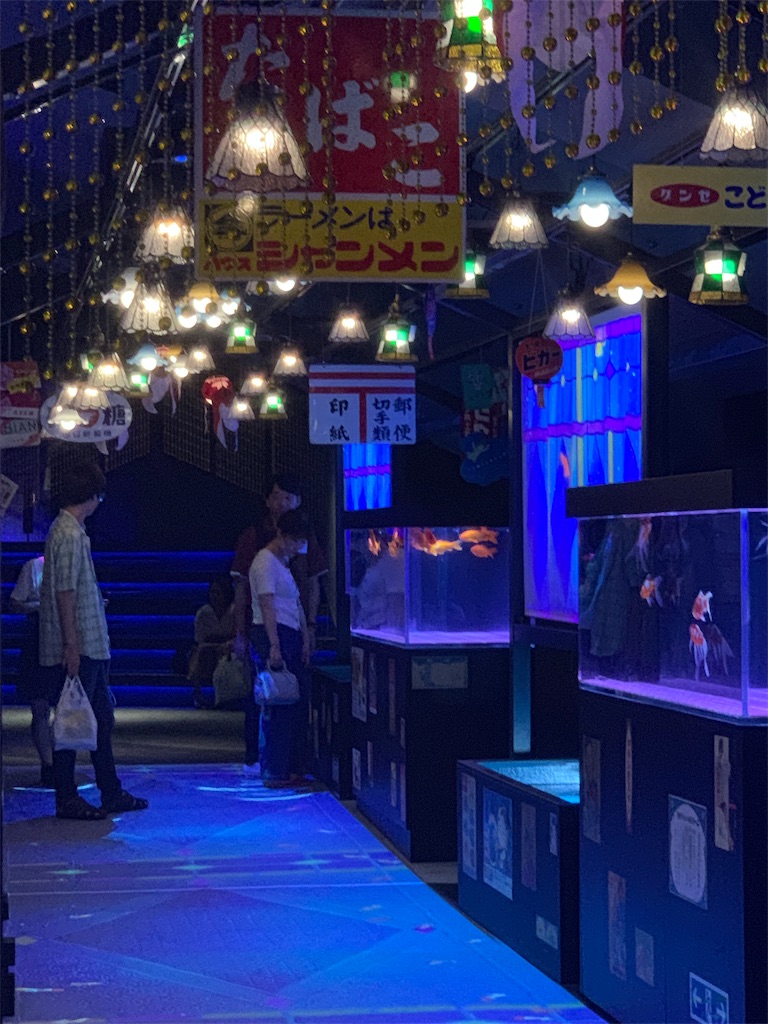 f:id:mayurin2018:20190804221545j:plain f:id:mayurin2018:20190804221545j:plain