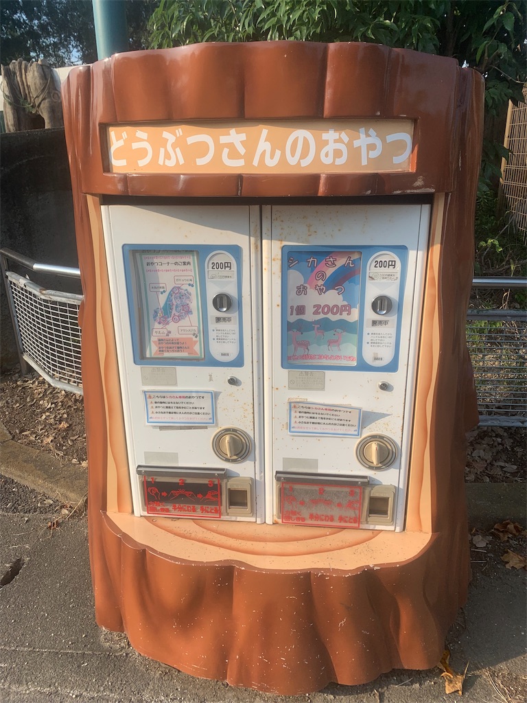 f:id:mayurin2018:20190804224004j:plain