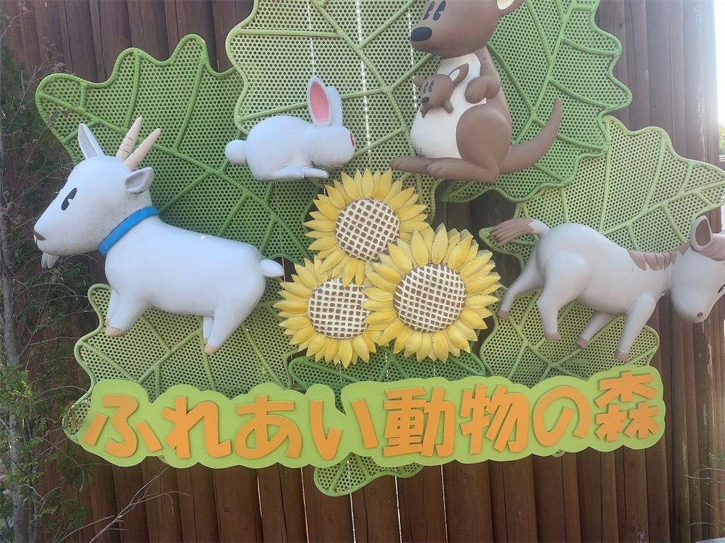 f:id:mayurin2018:20190804224124j:plain