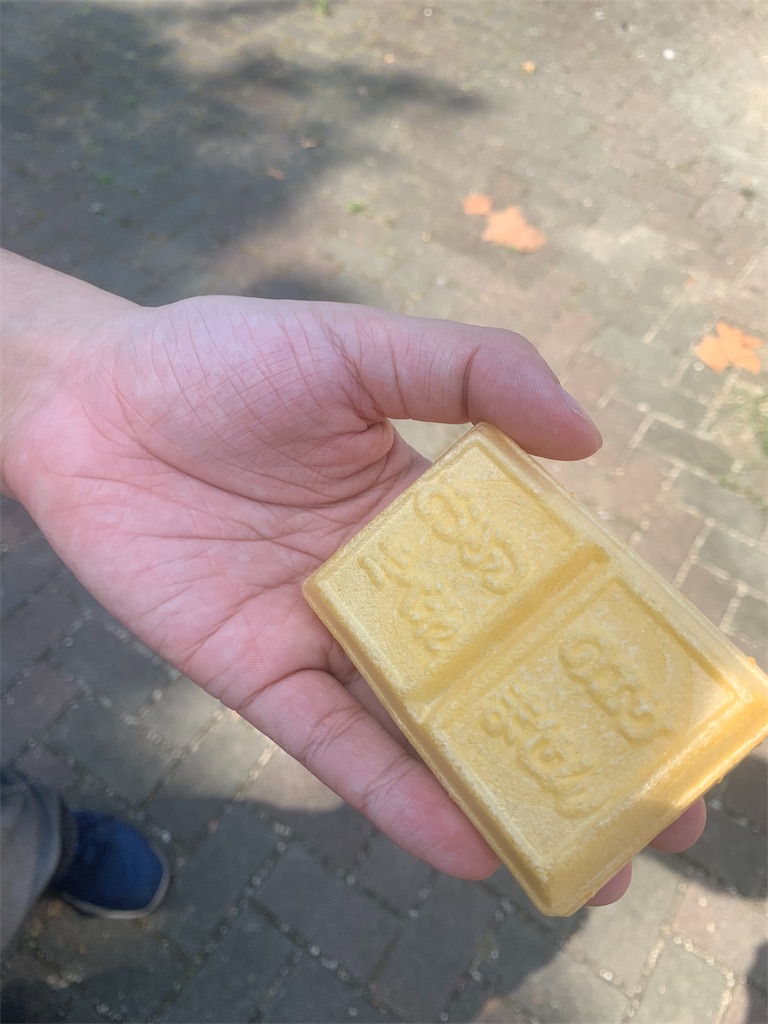 f:id:mayurin2018:20190804225251j:plain