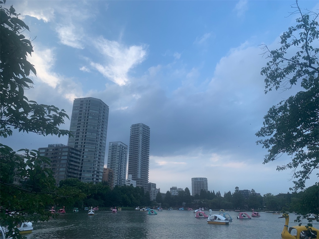 f:id:mayurin2018:20190902164857j:image f:id:mayurin2018:20190902164857j:image