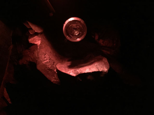 f:id:mayurin2018:20190906134002j:plain f:id:mayurin2018:20190906134002j:plain