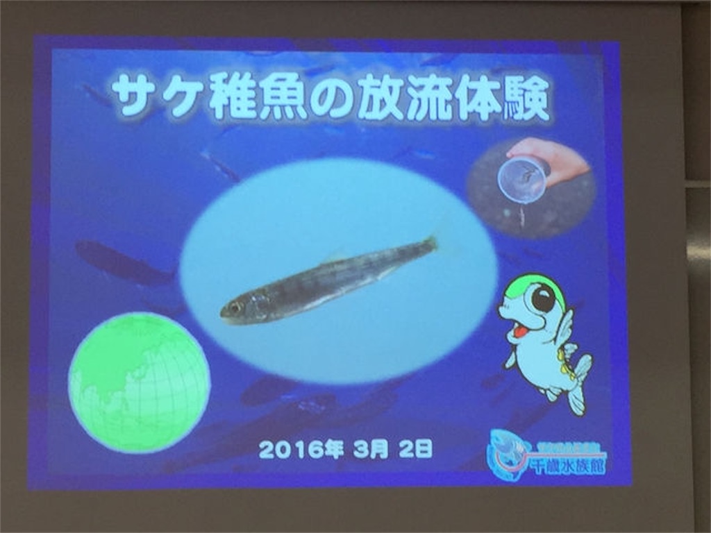 f:id:mayurin2018:20191010155844j:image