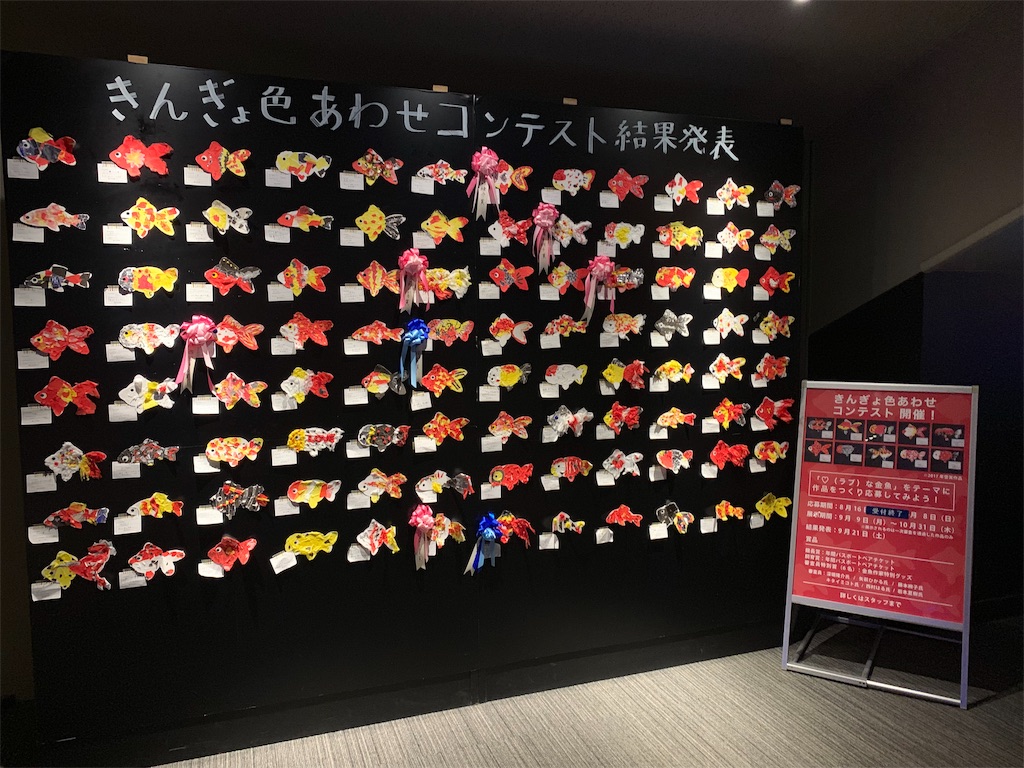 f:id:mayurin2018:20191017185329j:plain f:id:mayurin2018:20191017185329j:plain