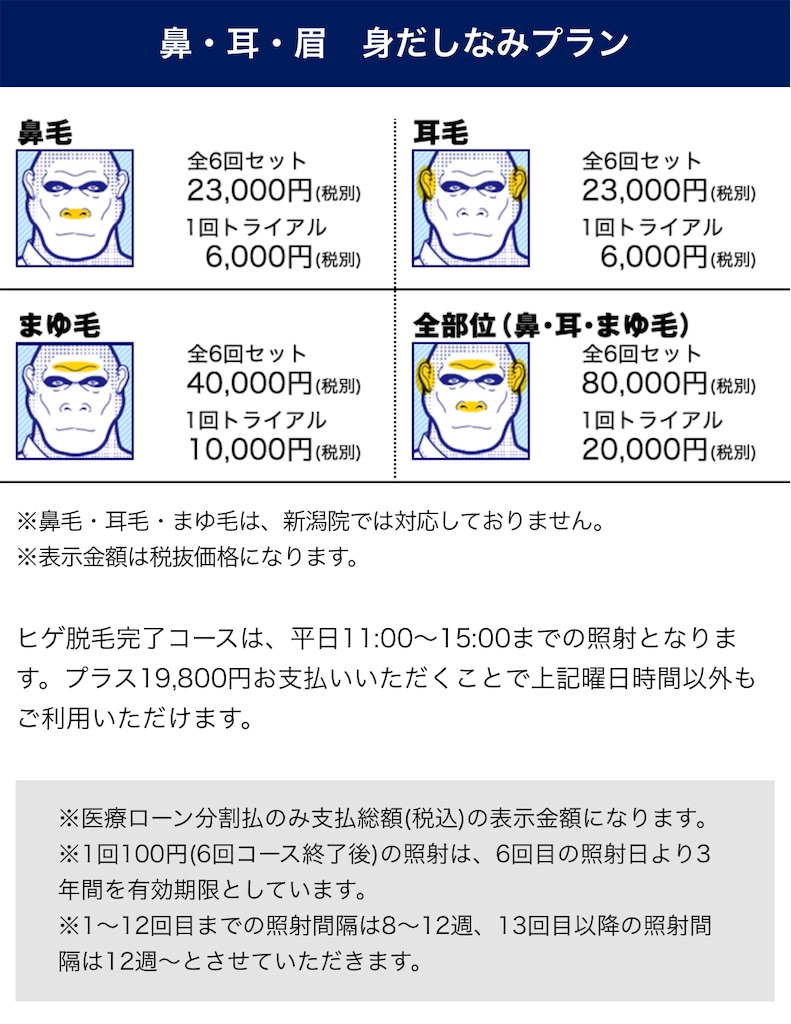 月一のペースで鼻毛カッターで処理してるけど だんだん面倒になる まゆまゆぱーてぃー