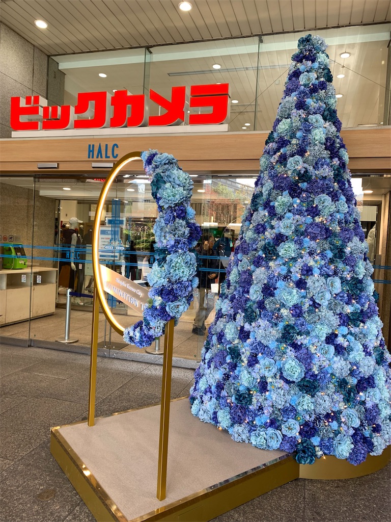 f:id:mayurin2018:20191114130526j:image