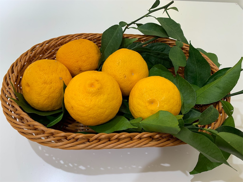 f:id:mayurin2018:20191221162439j:plain f:id:mayurin2018:20191221162439j:plain