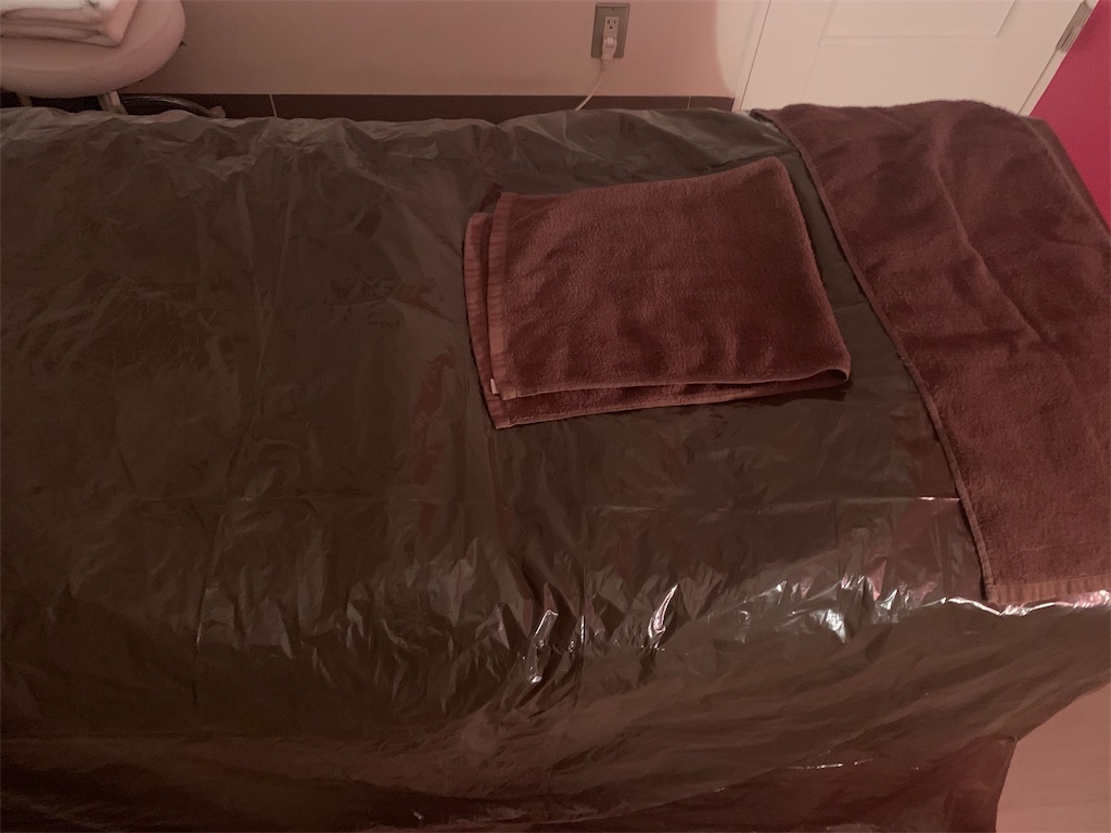 f:id:mayurin2018:20200126180941j:plain