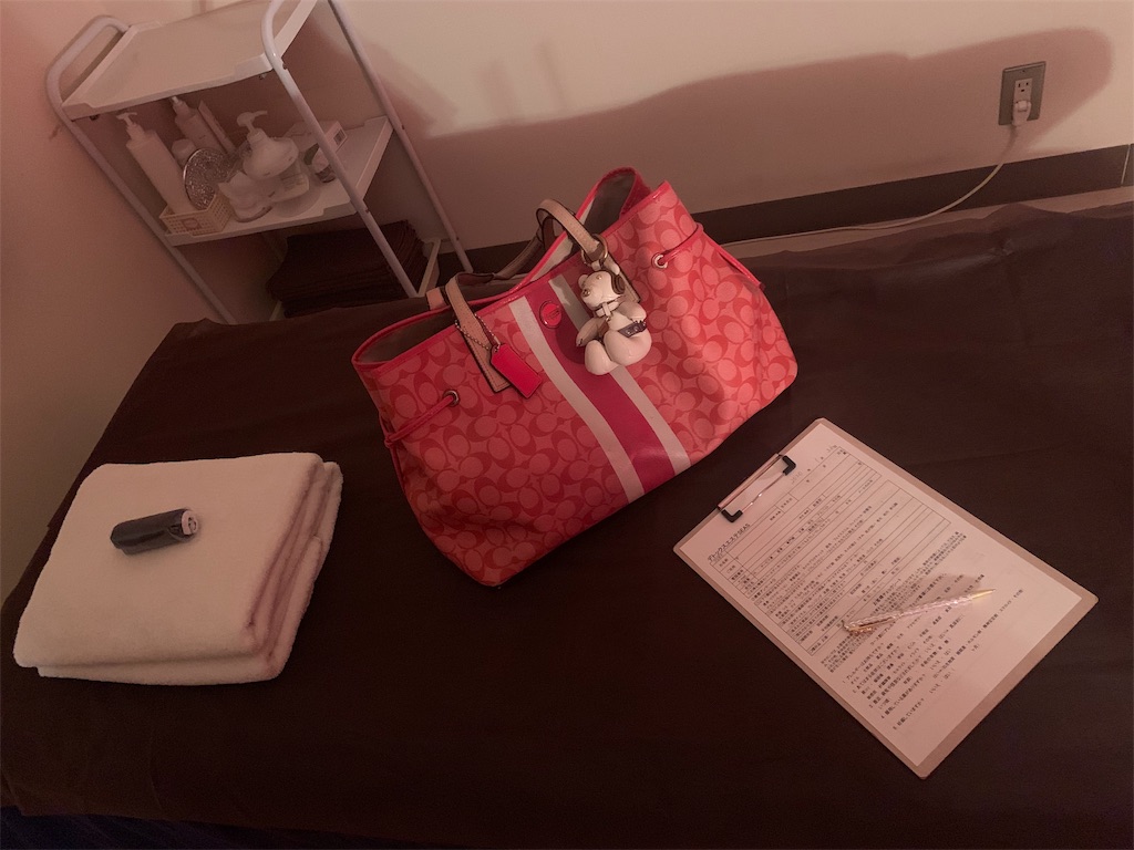 f:id:mayurin2018:20200126204435j:plain