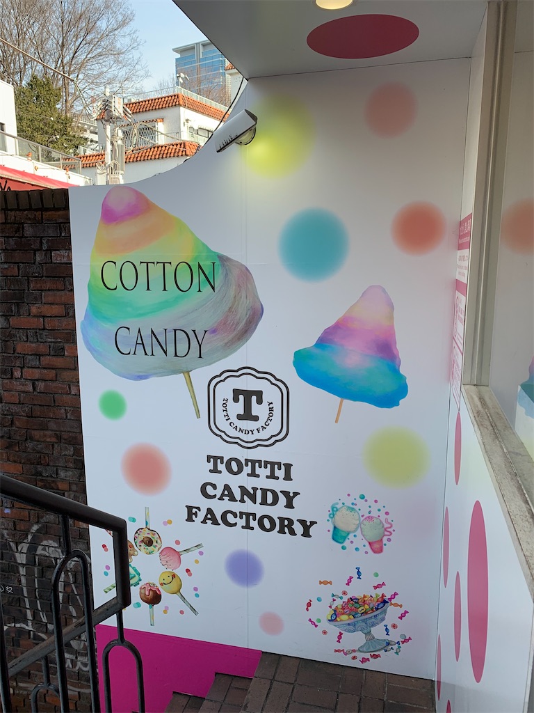 f:id:mayurin2018:20200207222741j:plain f:id:mayurin2018:20200207222741j:plain