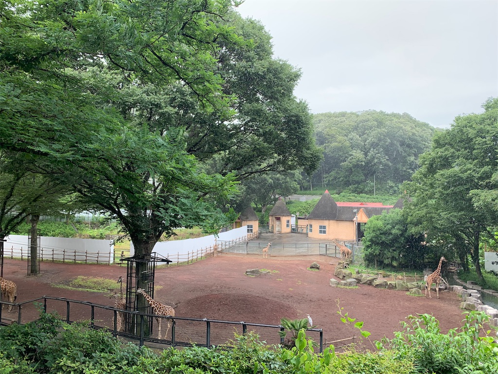 f:id:mayurin2018:20200611122020j:plain