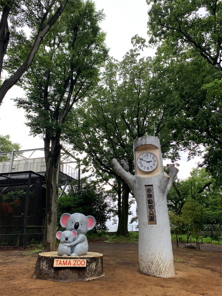 f:id:mayurin2018:20200611174829j:plain